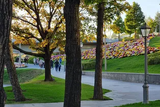 Погулять до утра не получится: ночи в Москве будут холодными до конца лета