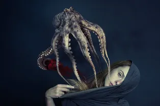 Самые жуткие способы спаривания в природе: мумия, крючья, копья и другие ужасы Самые жуткие способы спаривания в природе: мумия, крючья, копья и другие ужасы