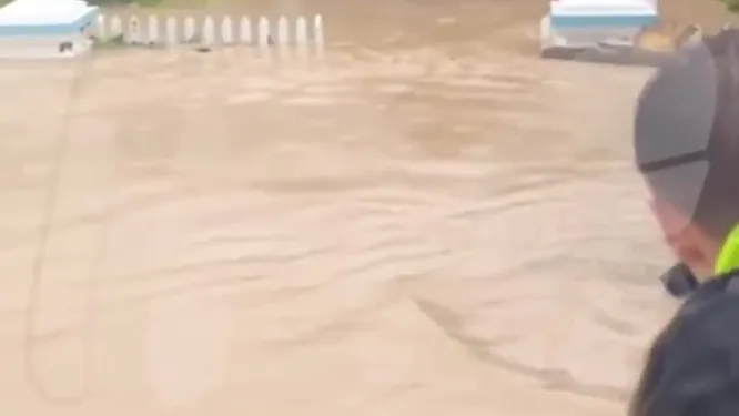 Нажми и смотри