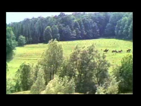 Нажми и смотри