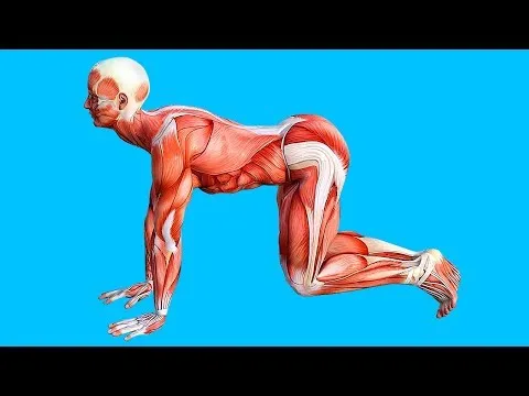 Нажми и смотри Нажми и смотри