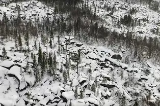Названа новая версия пропажи семьи Усольцевых в тайге: такого не ожидал никто