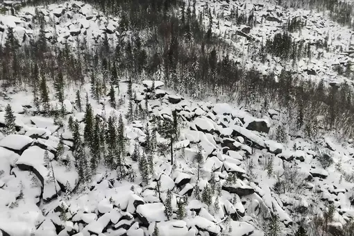 Названа новая версия пропажи семьи Усольцевых в тайге: такого не ожидал никто