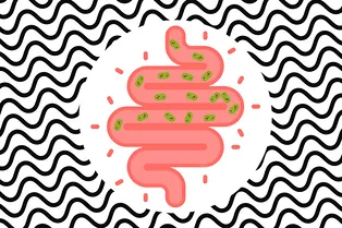 Ожирение, алкоголизм и еще 4 проблемы при которых помогает пересадка бактерий Ожирение, алкоголизм и еще 4 проблемы при которых помогает пересадка бактерий