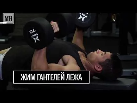 Нажми и смотри Нажми и смотри