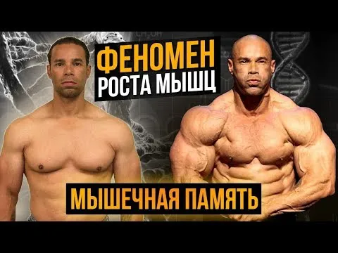 Нажми и смотри