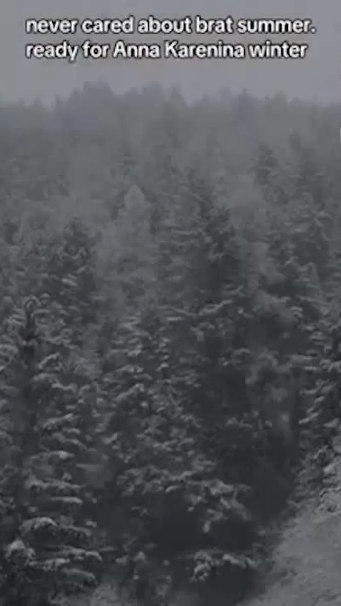 Нажми и смотри