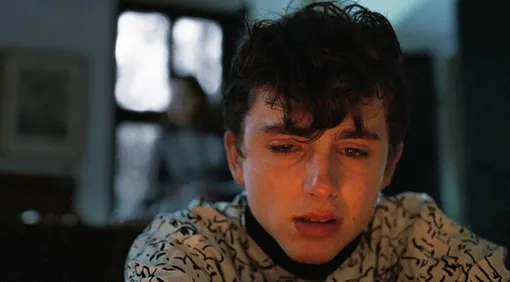 Кадр из фильма «Назови меня своим именем»(2017)