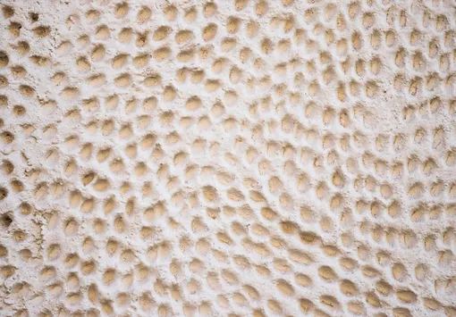 Трипофобия