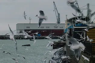 В Туапсе потушили пожар на морском терминале: на это ушло 5 дней