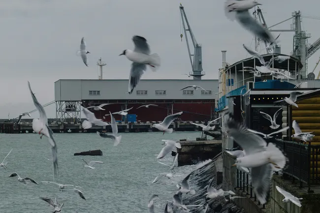 В Туапсе потушили пожар на морском терминале: на это ушло 5 дней