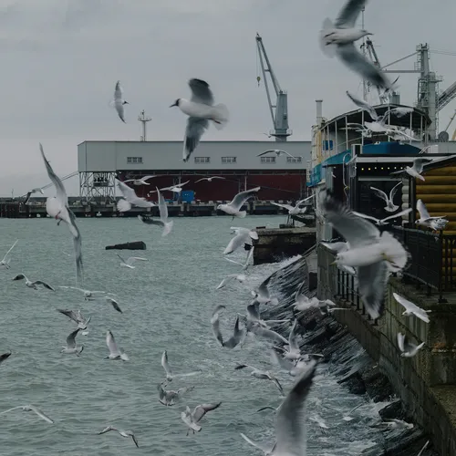 В Туапсе потушили пожар на морском терминале: на это ушло 5 дней