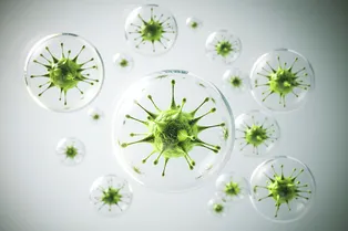 Почему при COVID-19 бывает отрицательный тест?