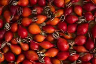 Топ-13 продуктов с самым высоким содержанием витамина С на 100 граммов: инфографика Топ-13 продуктов с самым высоким содержанием витамина С на 100 граммов: инфографика