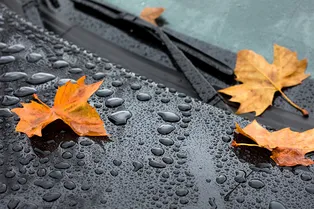 Без магнитных бурь, но с дождями: какой будет погода в Москве в эти выходные Без магнитных бурь, но с дождями: какой будет погода в Москве в эти выходные