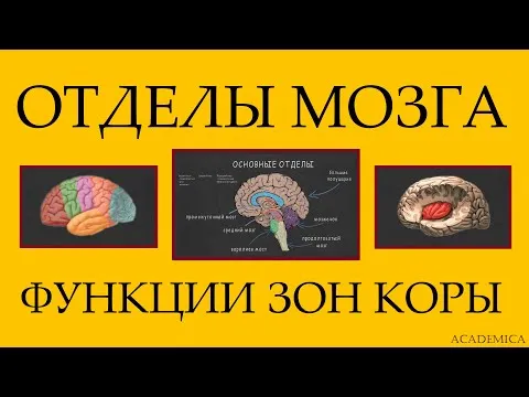 Нажми и смотри