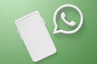 Переходим в MAX? Как сохранить чаты в WhatsApp* до блокировки мессенджера