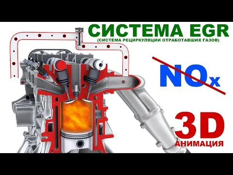 Нажми и смотри