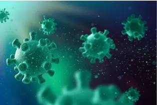 Обнаружен новый подвид омикрона — насколько XBB.1.5 опасен, и есть ли он в России