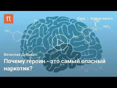 Нажми и смотри