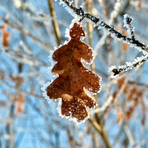 Зима бьет рекорды: когда отступят суровые морозы?