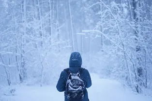 Настоящая зима на подходе: какой будет погода в конце декабря