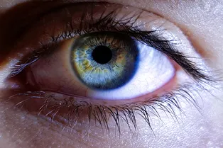 Врачи впервые в истории вернули зрение слепому: они напечатали ему 3D-роговицу Врачи впервые в истории вернули зрение слепому: они напечатали ему 3D-роговицу