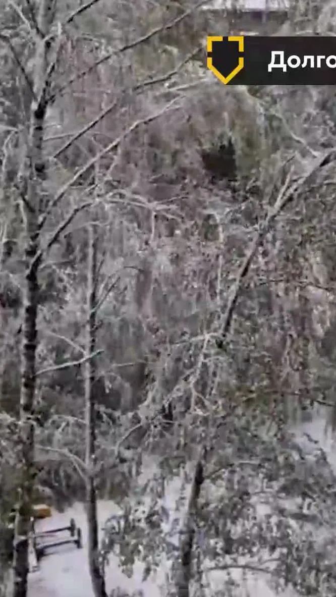 Нажми и смотри Нажми и смотри