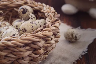 Можно ли заменить куриные яйца перепелиными?
