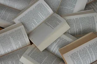 Не только кнут, но и пряник: власти Сингапура будут платить гражданам за чтение Не только кнут, но и пряник: власти Сингапура будут платить гражданам за чтение