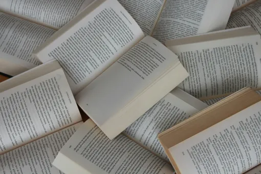 Не только кнут, но и пряник: власти Сингапура будут платить гражданам за чтение Не только кнут, но и пряник: власти Сингапура будут платить гражданам за чтение