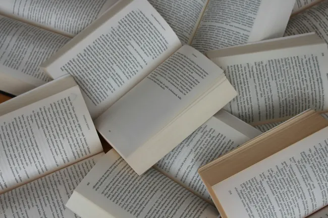Не только кнут, но и пряник: власти Сингапура будут платить гражданам за чтение