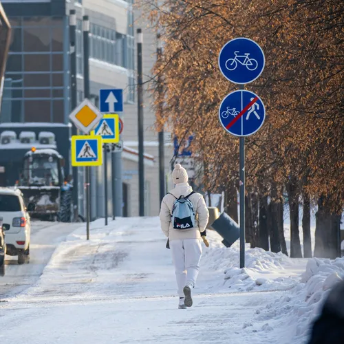 Зима будет аномальной: к чему готовиться россиянам?