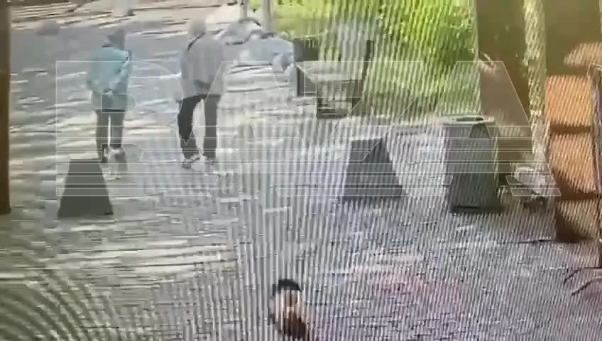 Нажми и смотри