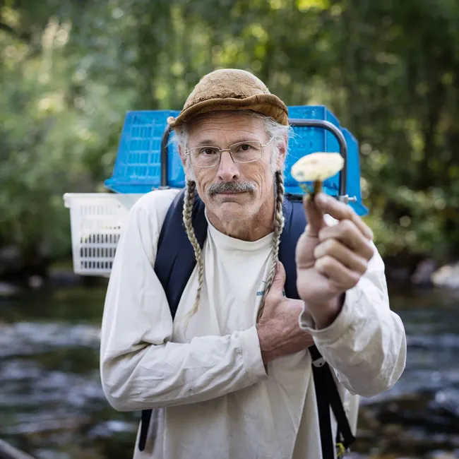 Что взять с собой, если вы собрались за грибами: руководство для новичков от профессионального грибника