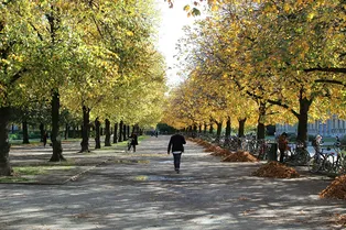 Зима уже стучится в дверь: какие сюрпризы готовит нам октябрь