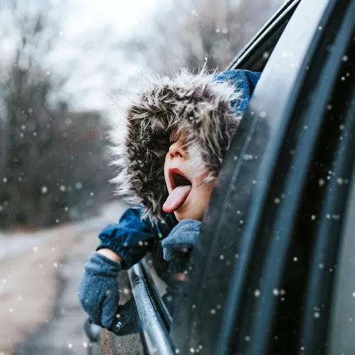 Тепло вернулось, но это ненадолго: когда снова ударят морозы?