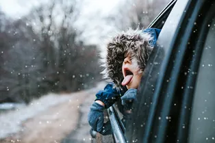 Тепло вернулось, но это ненадолго: когда снова ударят морозы?