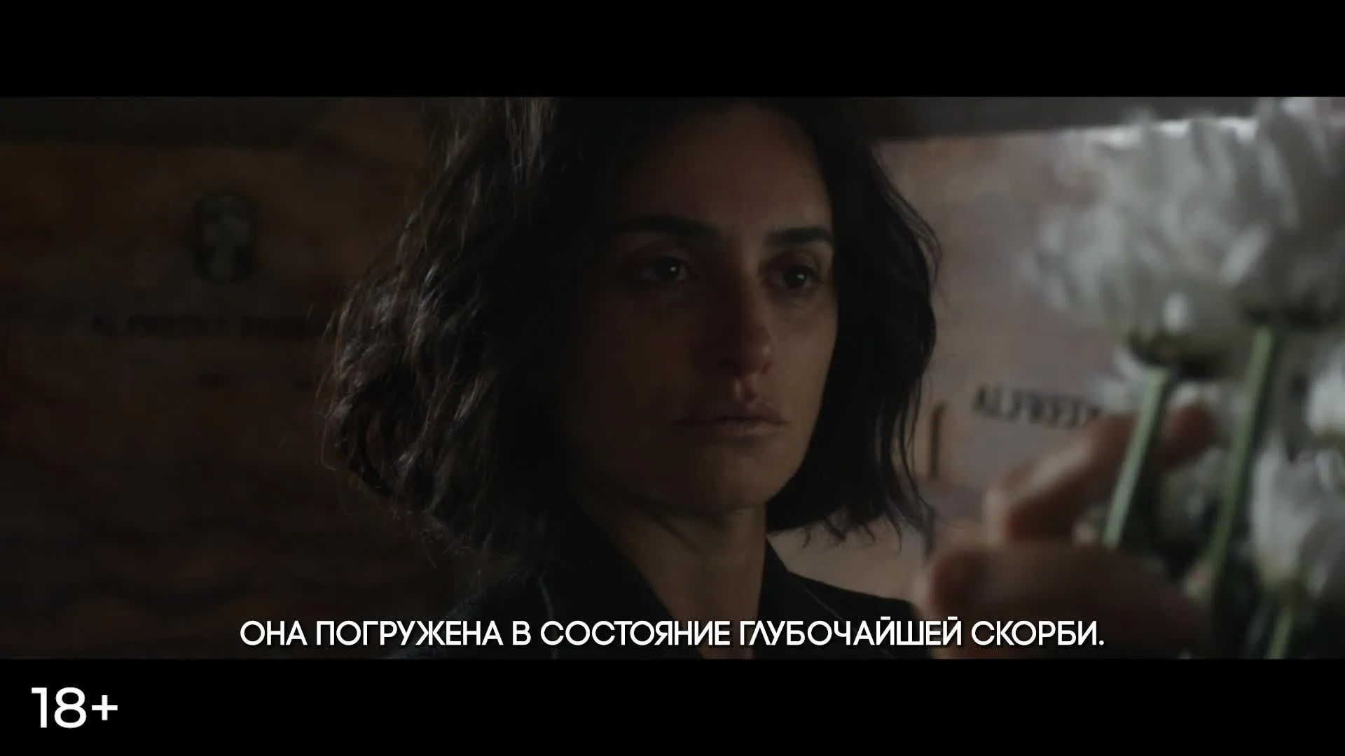 Нажми и смотри
