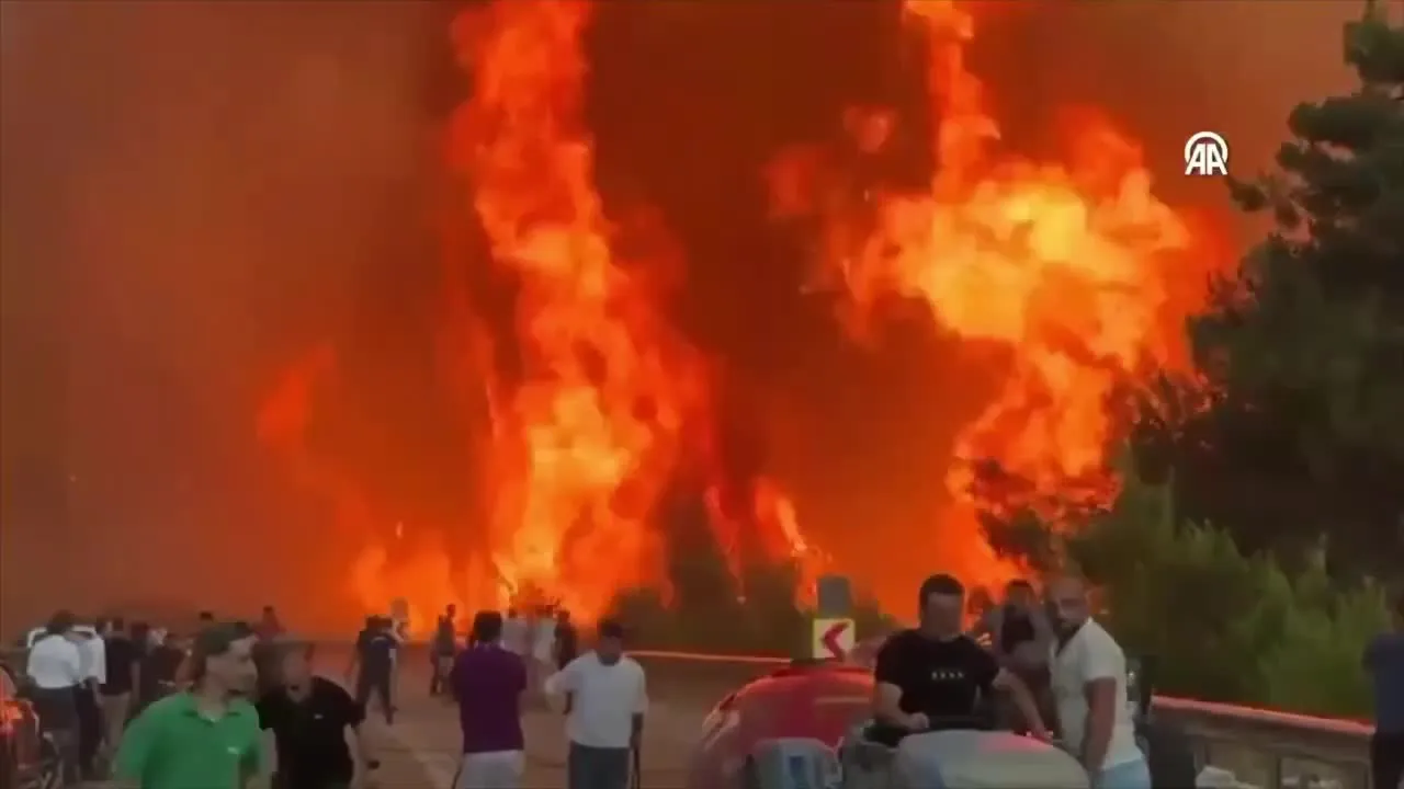 Нажми и смотри Нажми и смотри