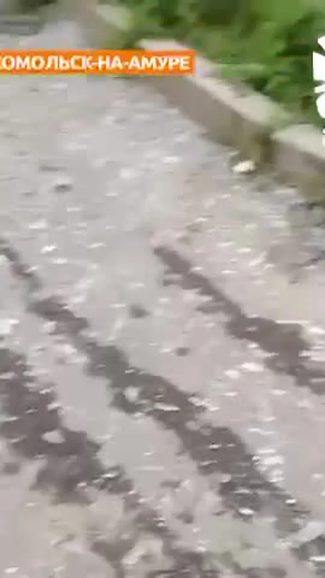 Нажми и смотри