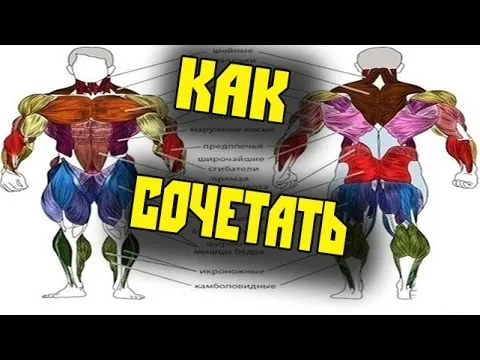 Нажми и смотри Нажми и смотри