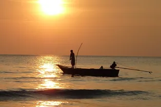 Золотой улов: рыбак случайно поймал рвоту кашалота на несколько миллионов долларов Золотой улов: рыбак случайно поймал рвоту кашалота на несколько миллионов долларов