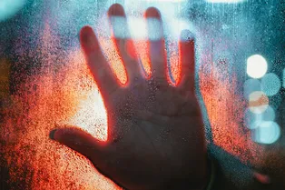 В российском регионе нашли очаг бешенства — ребенка укусила енотовидная собака