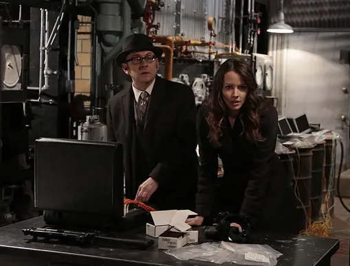 Майкл Эмерсон и Эми Акер в сериале «В поле зрения» (2015) Сериал В поле зрения