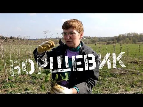 Нажми и смотри