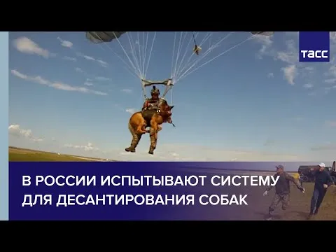 Нажми и смотри