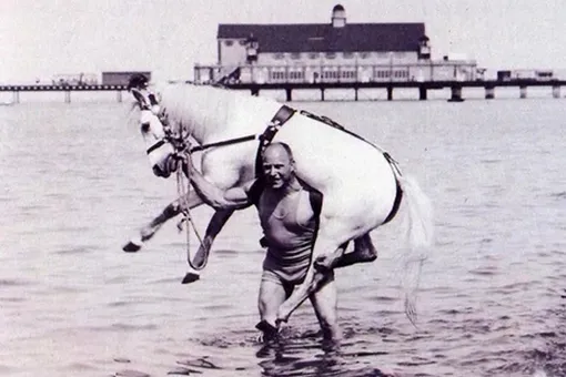 Александр Засс