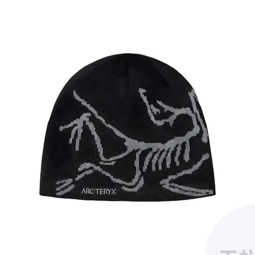 Шапка Arc’teryx (11 300 руб.) Шапка Arc’teryx (11 300 руб.)