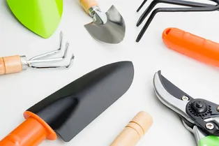 Как подготовить дачу к сезону и какие инструменты нужно купить уже сейчас?